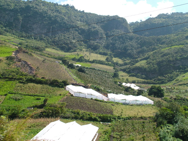 DSCF0818.JPG