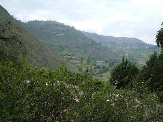 DSCF0842.JPG