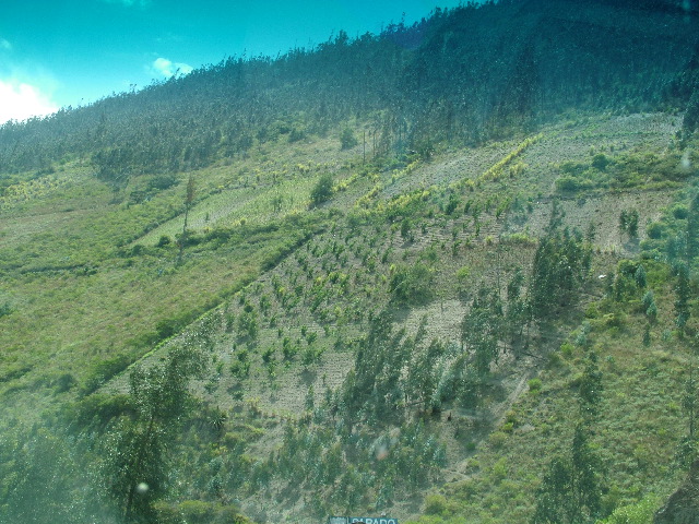 DSCF0817.JPG