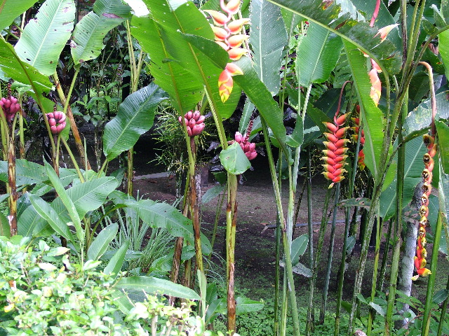 DSCF1015.JPG