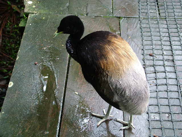DSCF1022.JPG