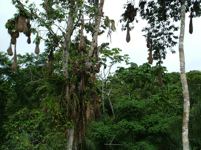 DSCF1027.JPG