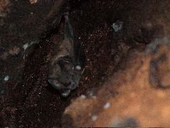 DSCF0887.JPG