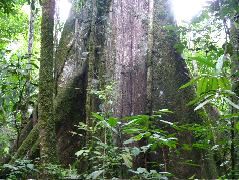 DSCF0889.JPG