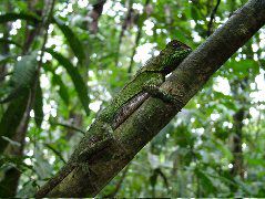 DSCF0896.JPG