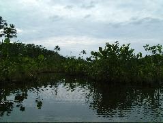 DSCF0898.JPG