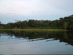 DSCF0922.JPG