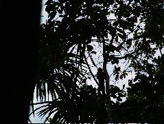 DSCF0924.JPG