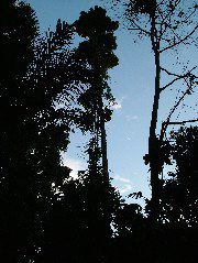 DSCF0927.JPG