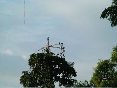 DSCF0933.JPG