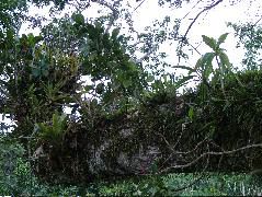 DSCF0938.JPG