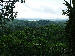 DSCF0939.JPG