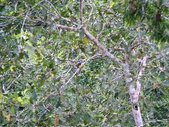 DSCF0942.JPG