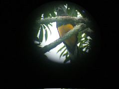 DSCF0943.JPG
