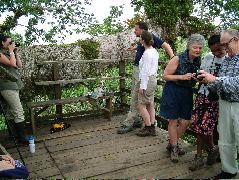 DSCF0947.JPG