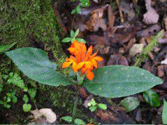 DSCF0957.JPG
