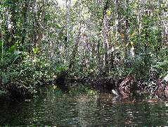 DSCF0961.JPG