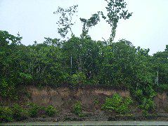 DSCF1013.JPG