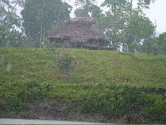 DSCF1009.JPG
