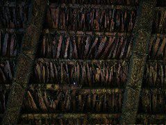 DSCF1007.JPG