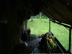 DSCF0994.JPG