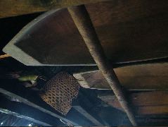 DSCF0995.JPG