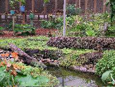 DSCF0970.JPG
