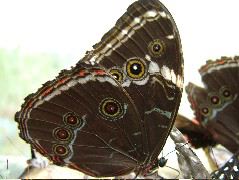 DSCF1048.JPG