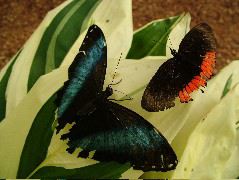 DSCF1051.JPG