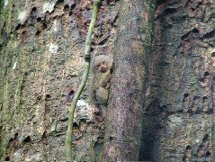 DSCF1056.JPG