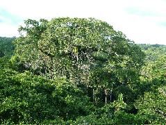 DSCF1062.JPG