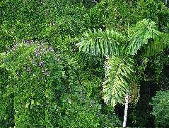 DSCF1063.JPG