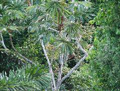DSCF1064.JPG