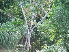 DSCF1065.JPG