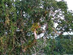 DSCF1073.JPG