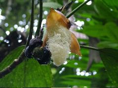 DSCF1079.JPG