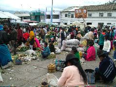 DSCF0843.JPG