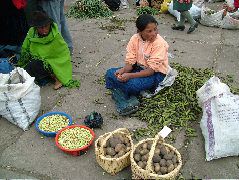 DSCF0845.JPG