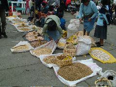 DSCF0852.JPG