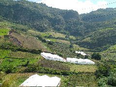 DSCF0818.JPG