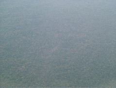 DSCF0864.JPG
