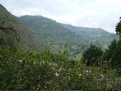 DSCF0842.JPG