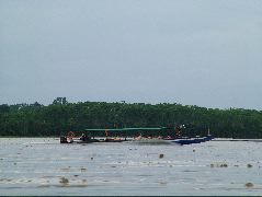 DSCF1092.JPG