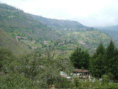 DSCF0841.JPG