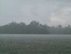DSCF0870.JPG