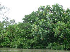 DSCF1091.JPG