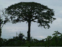 DSCF1093.JPG