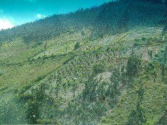 DSCF0817.JPG