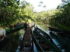 DSCF0872.JPG