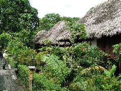 DSCF0906.JPG